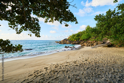 Anse major beach with coconut palm tree and granitic rocks, Mahe, Seychelles