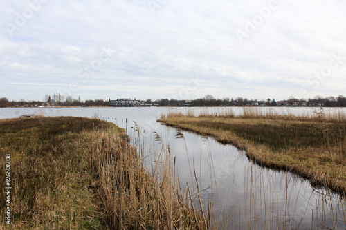 Swamp national park the biesbosch in the Netherlands in autumn © Michael Meijer