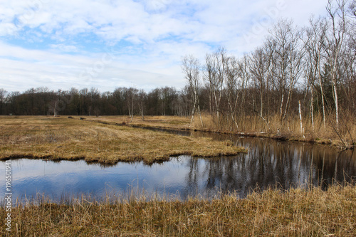 Swamp national park the biesbosch in the Netherlands in autumn