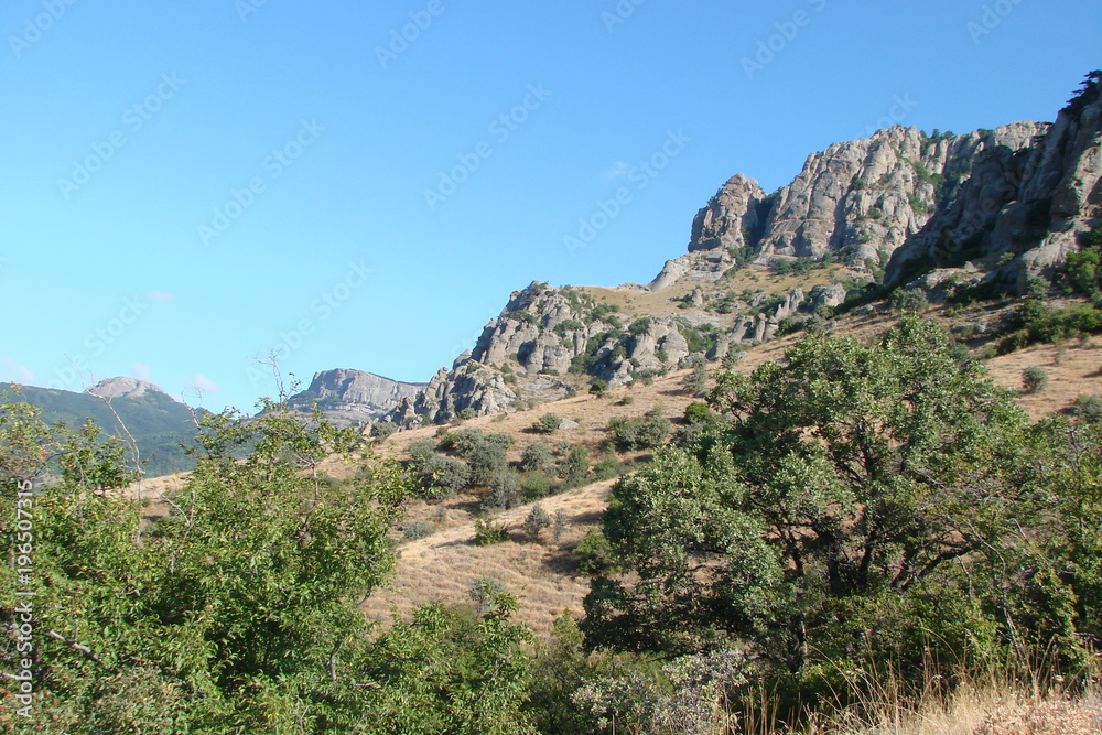 A panorama of wild vegetation at the foot of the Crimean mountain rocks. A panorama of wild vegetation at the foot of the Crimean mountain rocks.