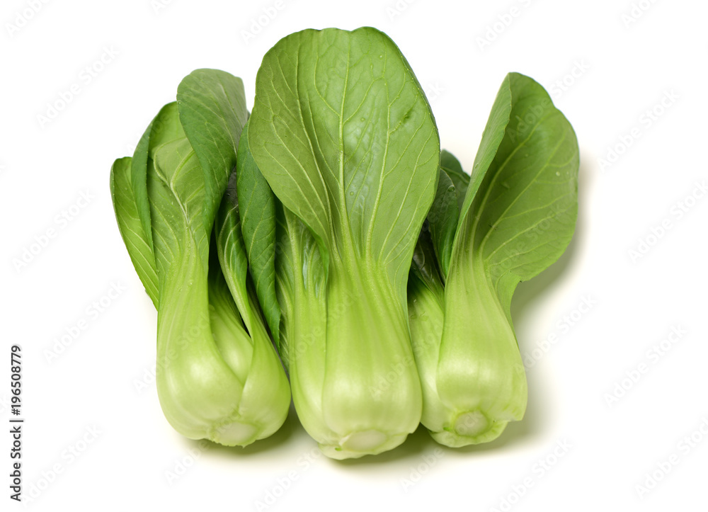 Pok Choi on white background