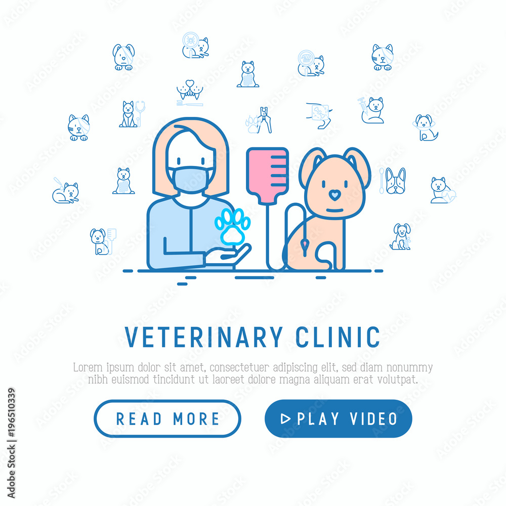 Veterinary clinic, pet care. Blood infusion for dog thin line icon. Modern vector illustration, web page template.