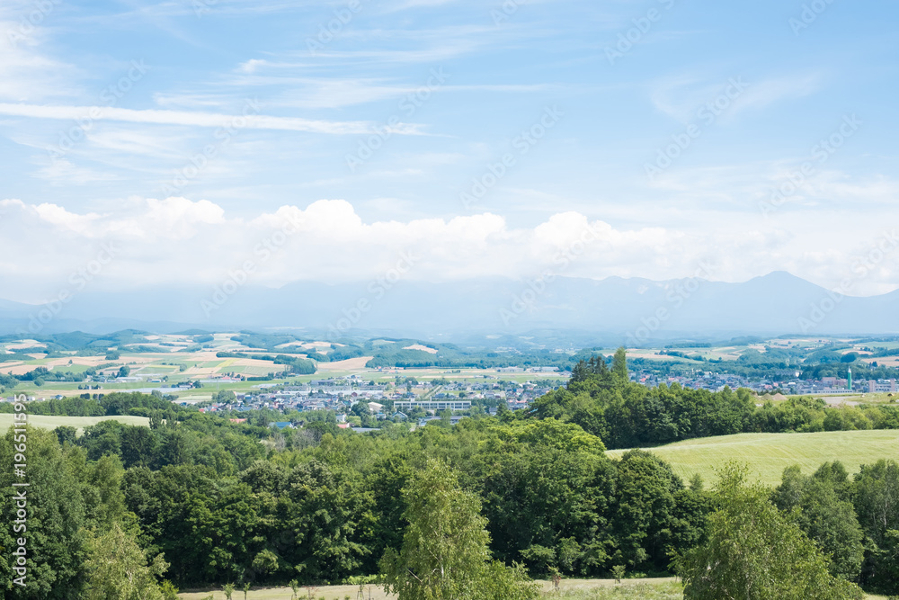 Naklejka premium landscape of asahikawa town
