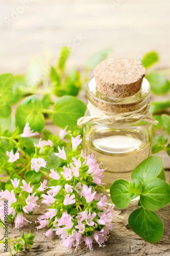 Oregano blossom essential oil and fresh oregano flowers on the wooden board