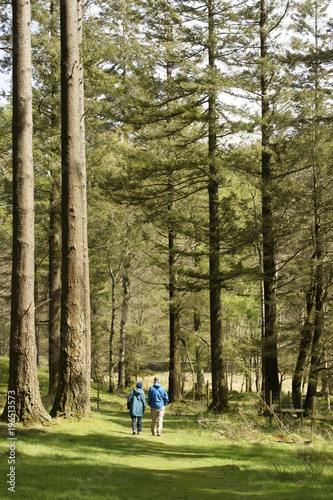 Forest Family Walk Mother Son Man Woman Lake District