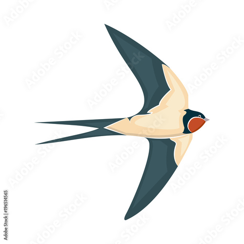 swallow in flight vector illustration style Flat