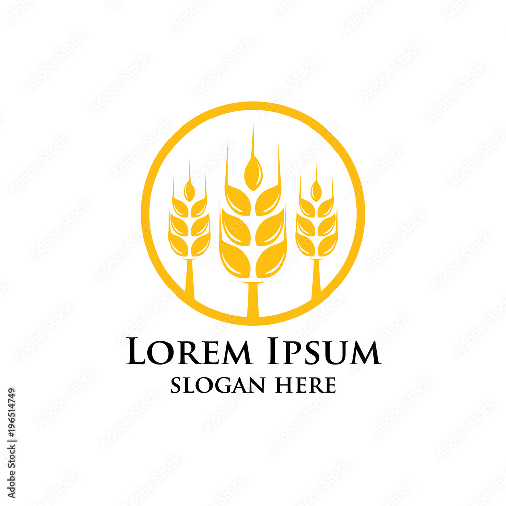 Agriculture wheat Logo Template vector icon design. emblem and label design
