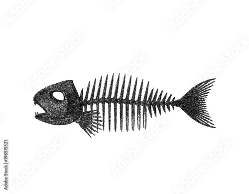 Photography Fish skeleton. Isolated on white background. Vector illustration.