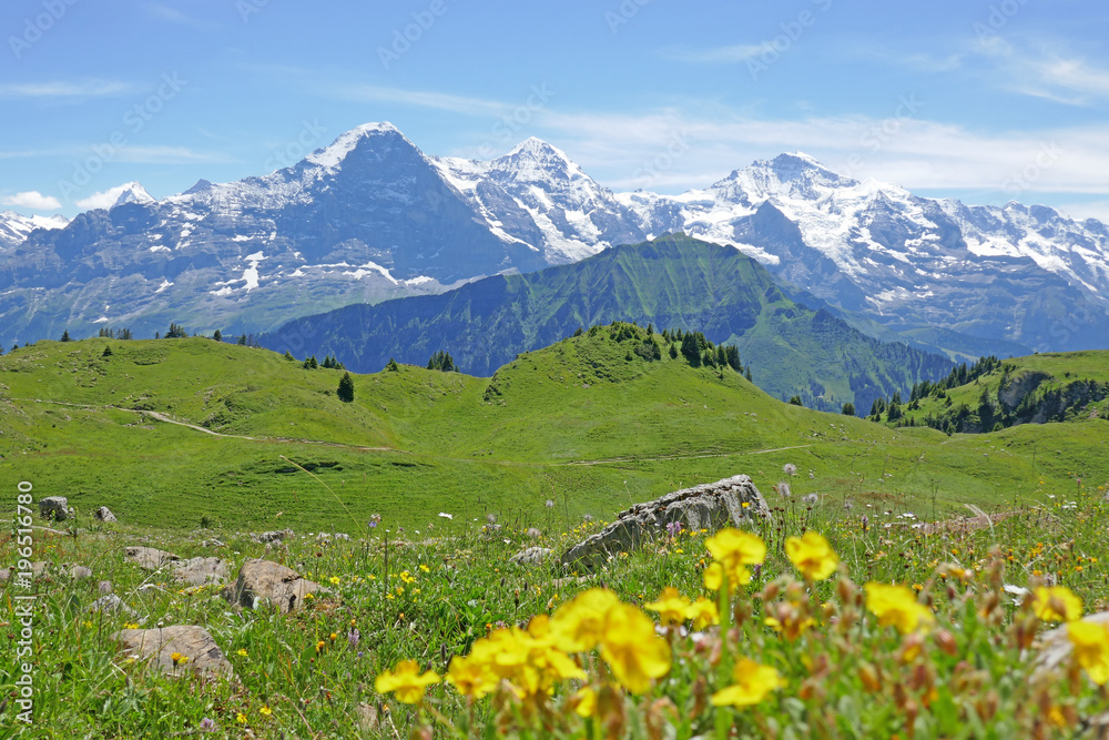 alpen: eiger, berner oberland, schweiz 