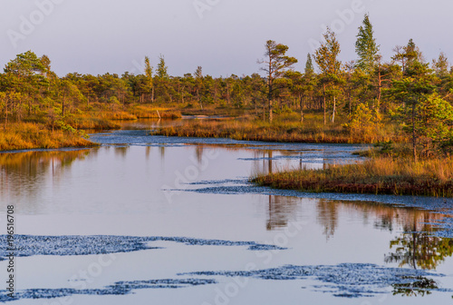 Great Kemeri bog (Lielais Kemeru tirelis) in sunny autumn day, Latvia photo