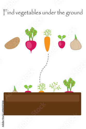 Find the vegetables under the ground, game with pictures for children, education game for kids, preschool worksheet activity, task for the development of logical thinking, vector illustration