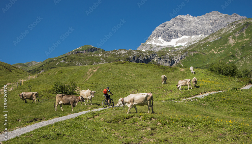 Mountainbike fahren am Arlberg, Österreich