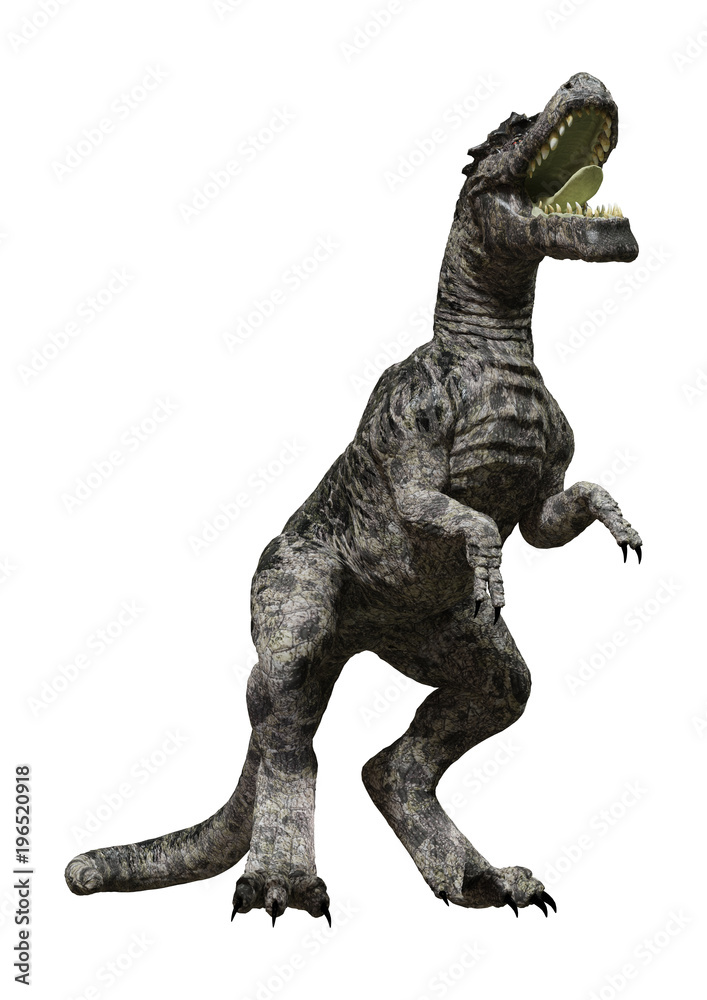 3D Rendering Dinosaur Tyrannosaurus on White 3D Rendering Dinosaur Tyrannosaurus on White