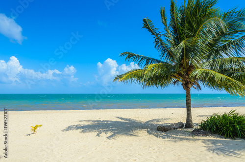 Paradise beach in Placencia, tropical coast of Belize, Caribbean Sea, Central America. © Simon Dannhauer