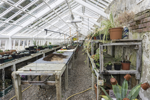 Greenhouse with plants and soil