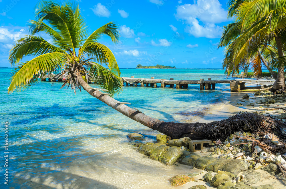 Fototapeta premium Belize Cayes - Rajska plaża na wyspie caye Carrie Bow Cay Field Station, Morze Karaibskie, Belize. Cel tropikalny.