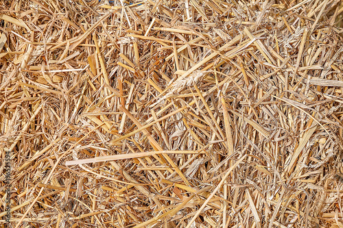 Texture of hay, straw