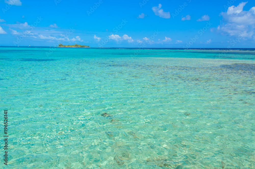 Paradise beach on island caye Carrie Bow Cay Field Station, Caribbean Sea, Belize. Tropical destination.