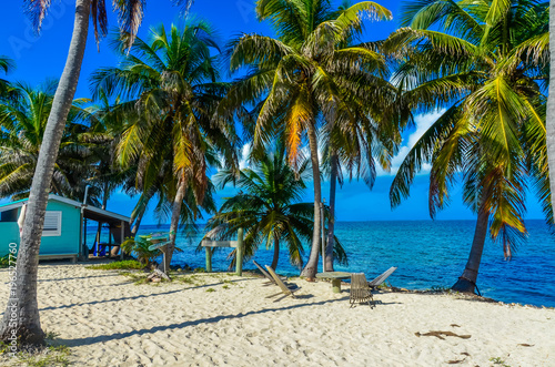 Belize Cayes - Small tropical island at Barrier Reef with paradise beach - known for diving  snorkeling and relaxing vacations - Caribbean Sea  Belize  Central America