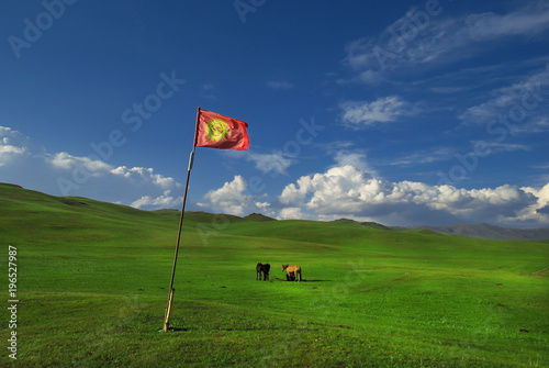 Traditional pasture in the high mountains. Kyrgyzstan. Song Kol lake