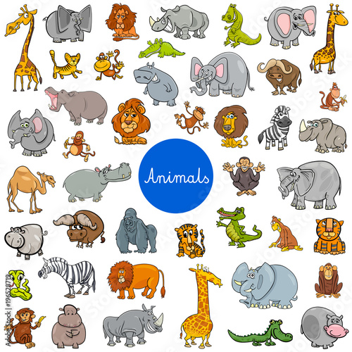 wild animal characters big set