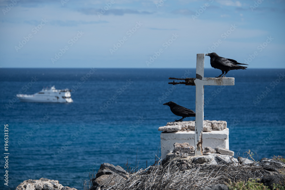 Crows resting by cross on cliffs, Clarion Island, Socorro, Baja California  Photos | Adobe Stock