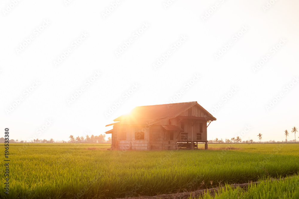 Obraz premium Amazing sunrise view of a large paddy field with an abandoned house.Background and nature concept.