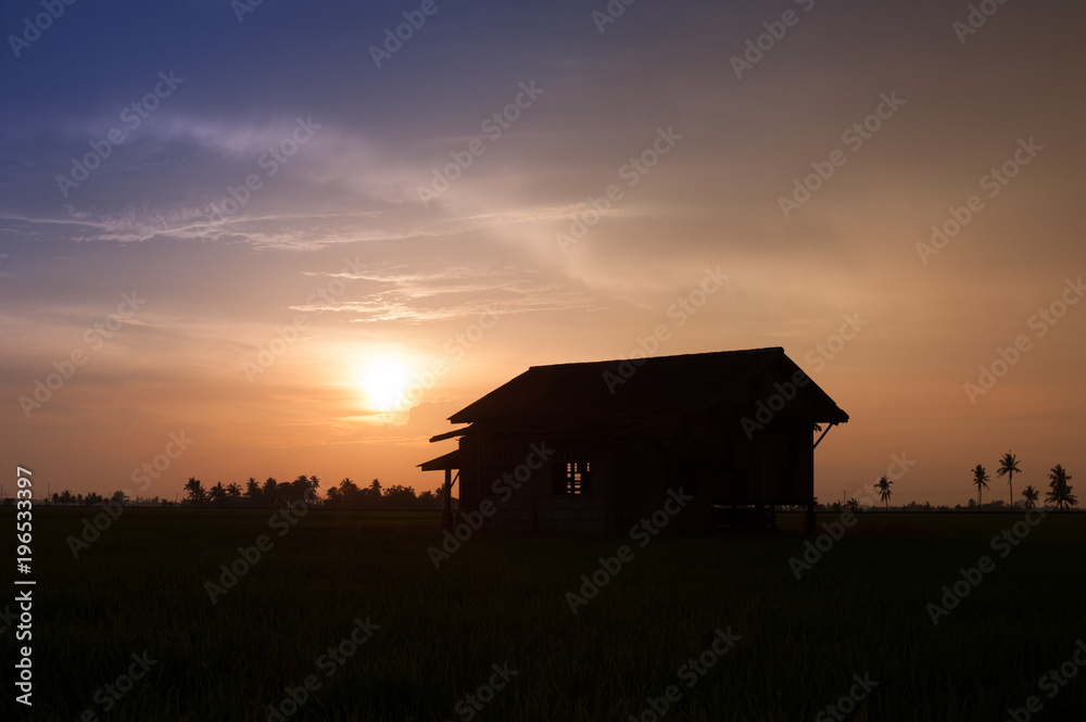 Abandoned house in the middle of paddy field during golden house sunset.Silhouette of house in paddy field.Background and nature concept.