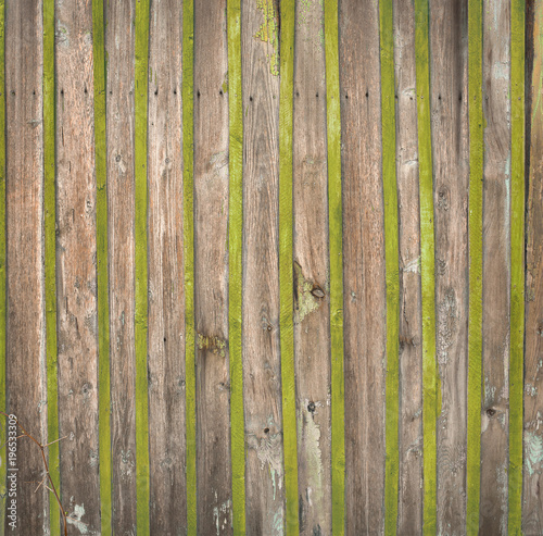 green wooden background spring color