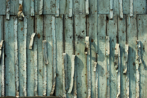 green grunge wooden background