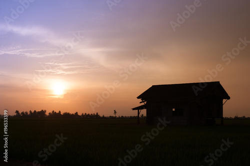 Abandoned house in the middle of paddy field during golden house sunset.Silhouette of house in paddy field.Background and nature concept.