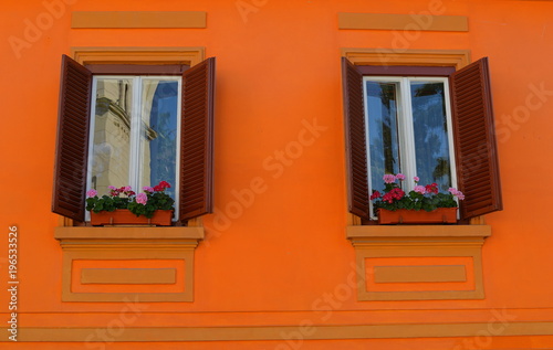 Windows with flower