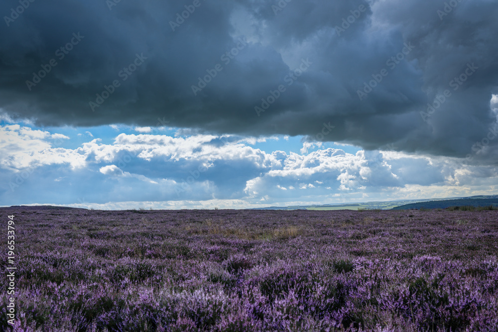 Fototapeta premium Beeley Moor Derbyshire Landscape, Wielka Brytania.