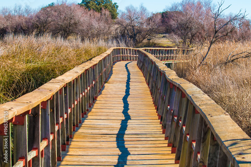 Pasarela en el parque