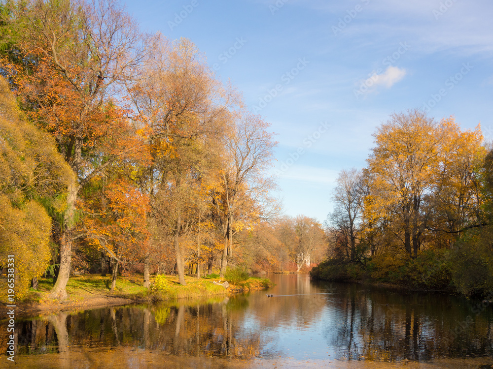 Obraz premium landscape with a river