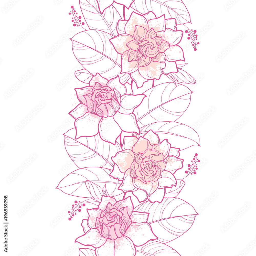 Vector seamless pattern with outline Gardenia in pastel pink color. Ornate  flower, bud and leaves on the white background. Elegance floral vertical  border with contour Gardenia for summer design. Stock Vector |