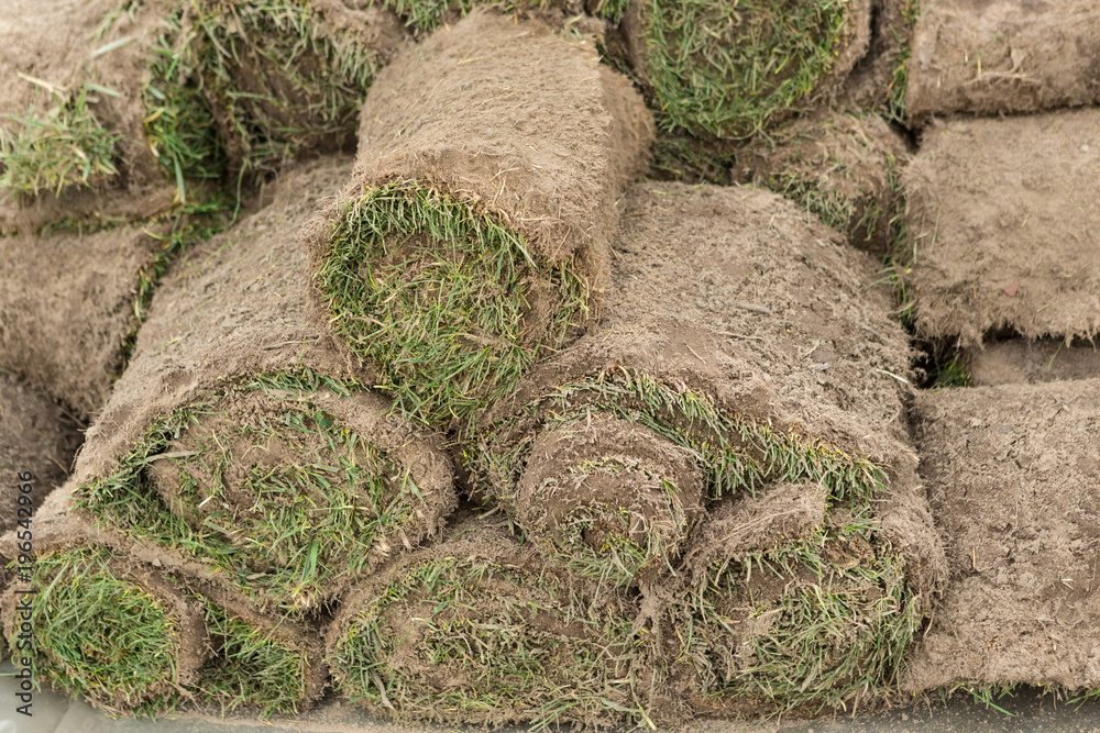 a stack of grassy turf in rolls, a roll of grass, ready for use in horticulture or landscaping a stack of grassy turf in rolls, a roll of grass, ready for use in horticulture or landscaping
