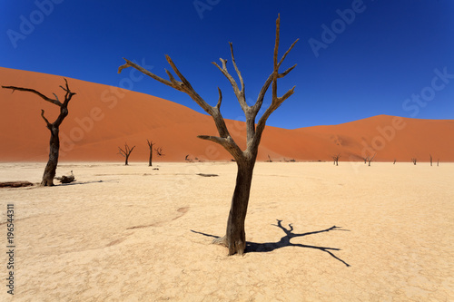 Dead Vlei