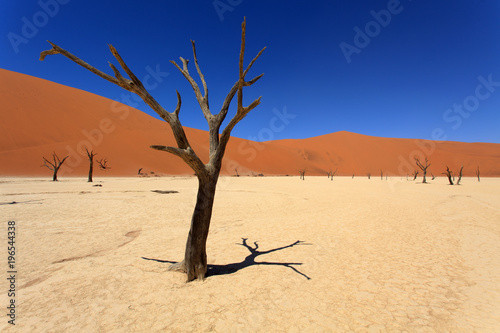 Dead Vlei