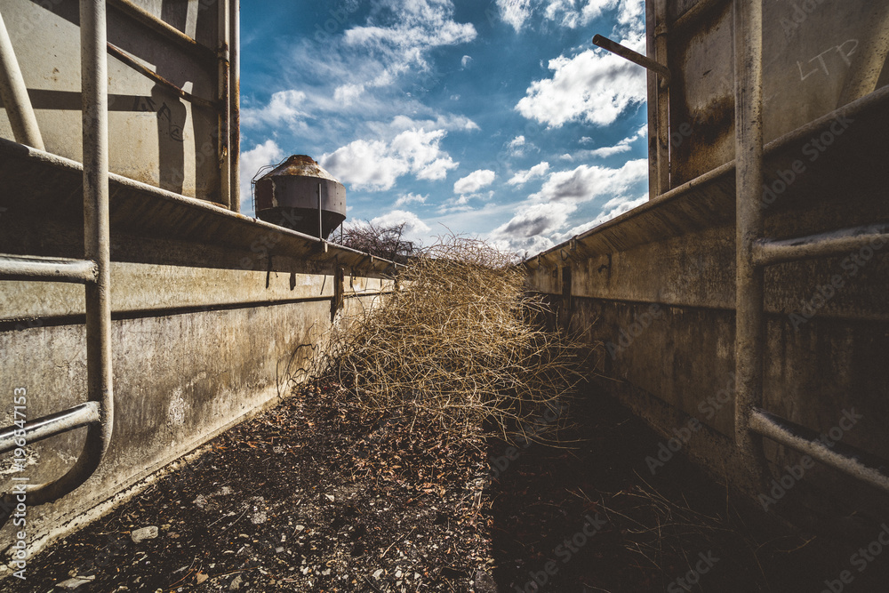 Fototapeta premium Abandoned farm trough with tumbleweeds