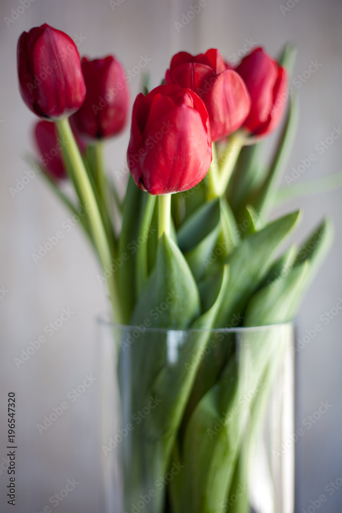 Tulips in glass vase Tulips in glass vase