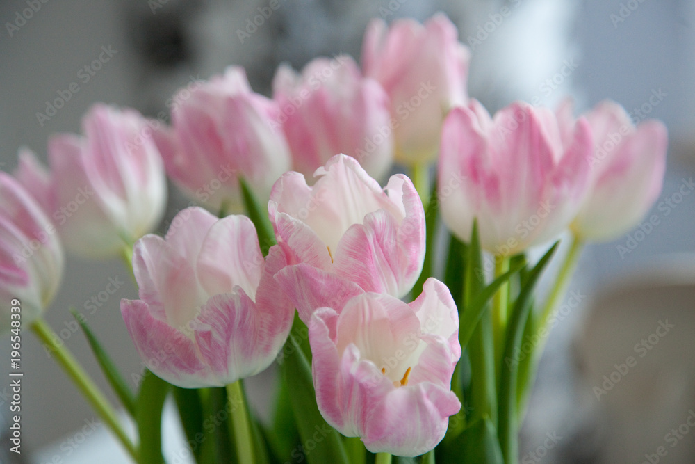 Marbled Ombre Tulips