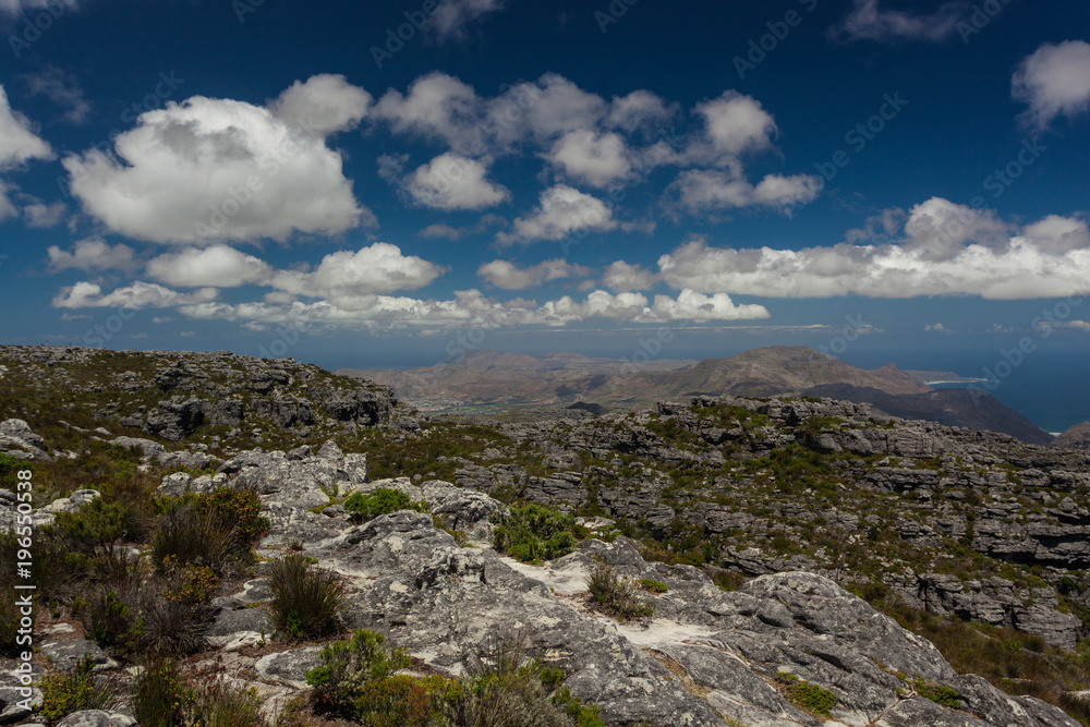 View of the Landscape on the Table Mountain in Cape Town, South Africa on a sunny Day with blue Sky