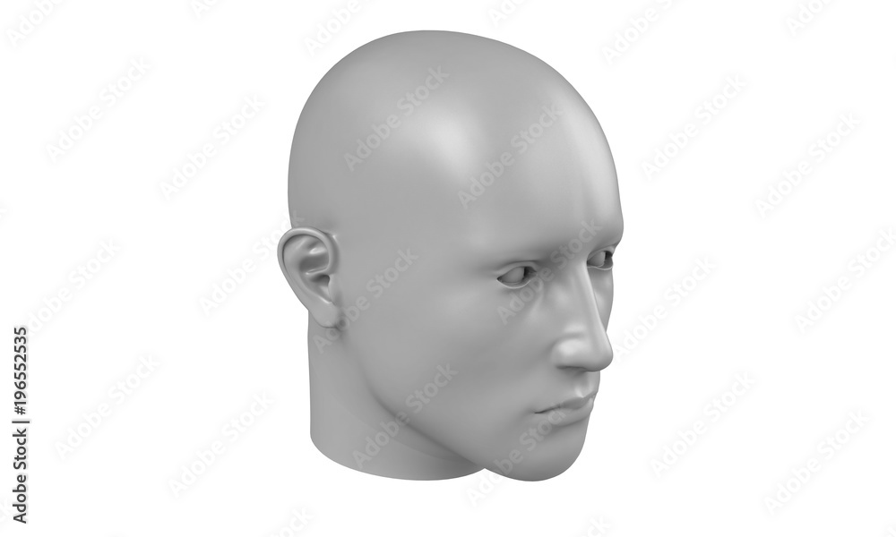 3d model of a humane head with white skin isolated on white. it is a man face with bold head staring at various angles looking strait. 3d model of a humane head with white skin isolated on white. it is a man face with bold head staring at various angles looking strait.