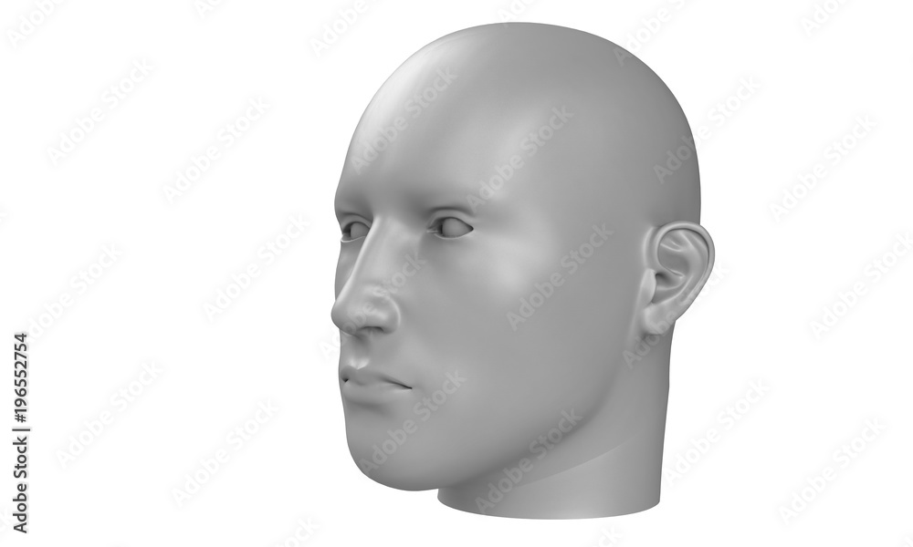 3d model of a humane head with white skin isolated on white. it is a man face with bold head staring at various angles looking strait. 3d model of a humane head with white skin isolated on white. it is a man face with bold head staring at various angles looking strait.