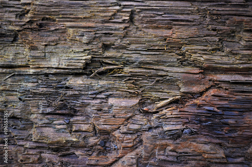 wood texture