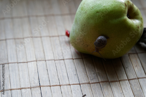 Snail sitting on green pear and tree trunk and crawls to broccoli, wooden bamboo backdrop, close-up animal background