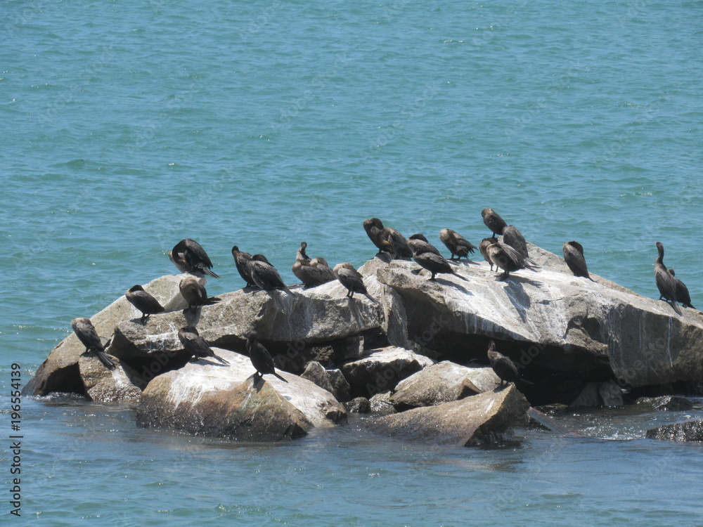Fototapeta premium Ressaca