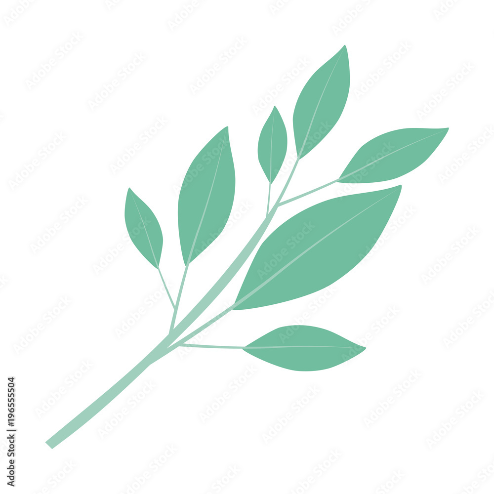 white background of tree branch with leaves vector illustration