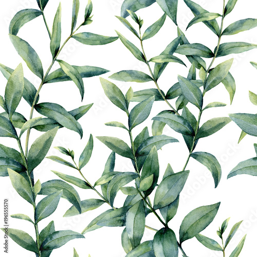 Watercolor realistic eucalyptus pattern Fototapet